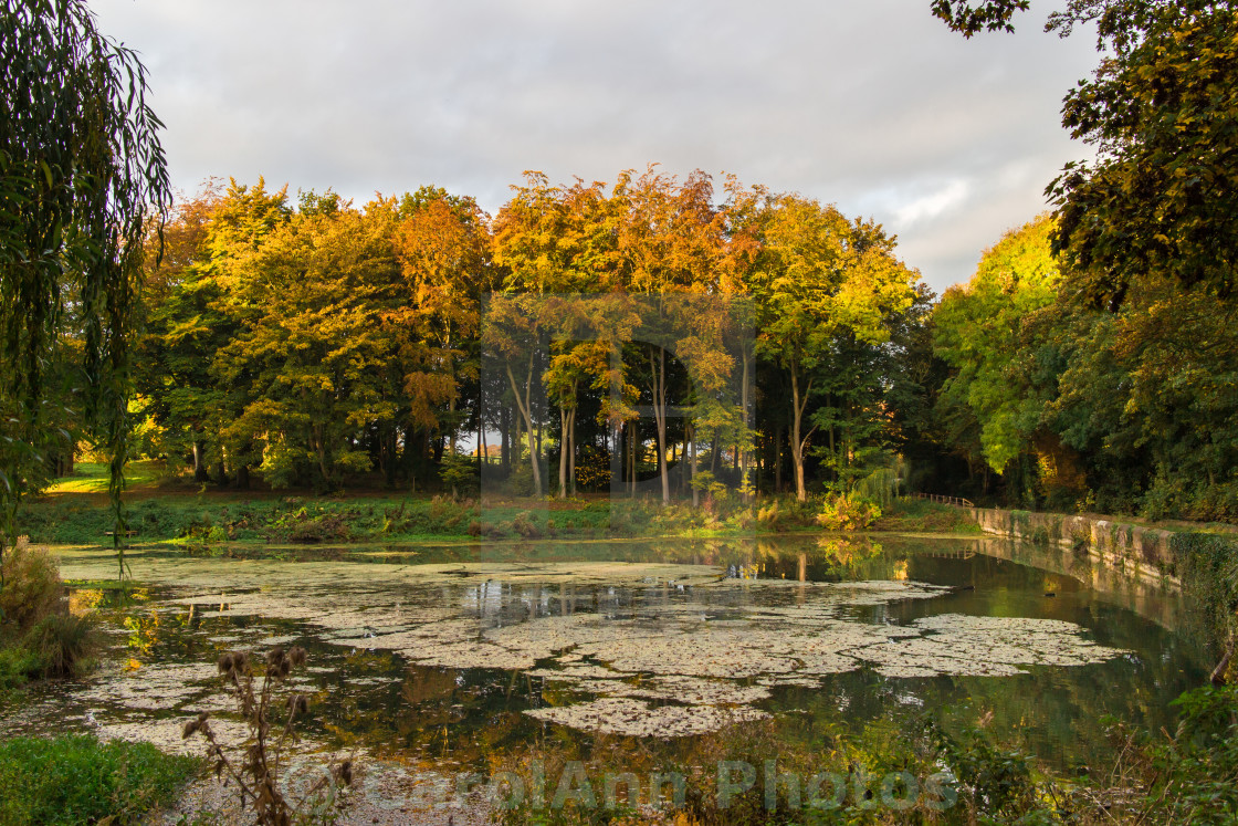 "Morning light" stock image