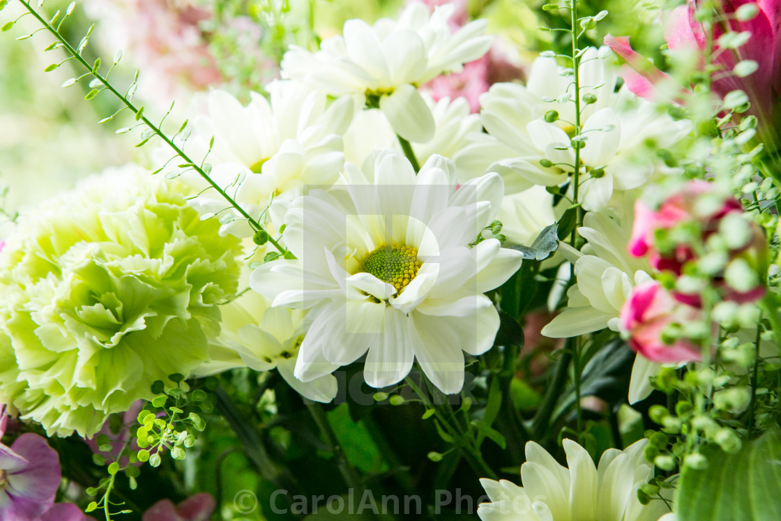 "Beautiful bouquet" stock image