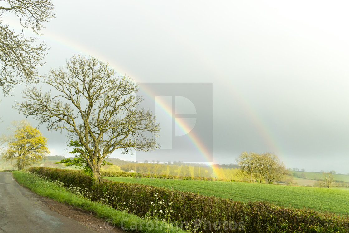 "Double Rainbow" stock image