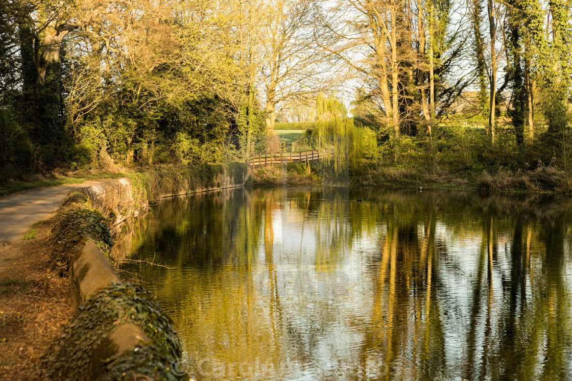 "Golden hour reflections" stock image