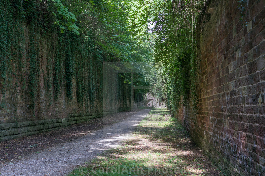 "Along the path" stock image