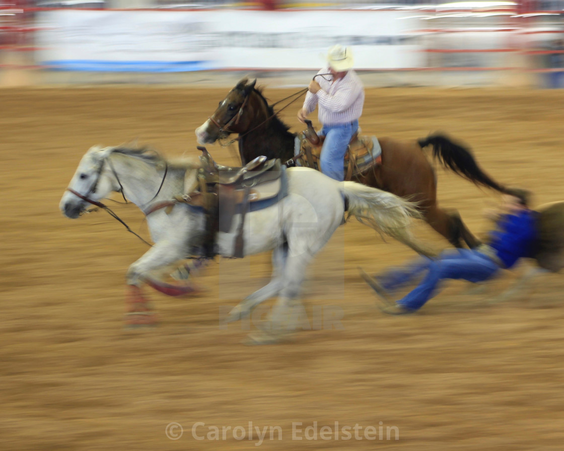 "Rodeo Roping" stock image