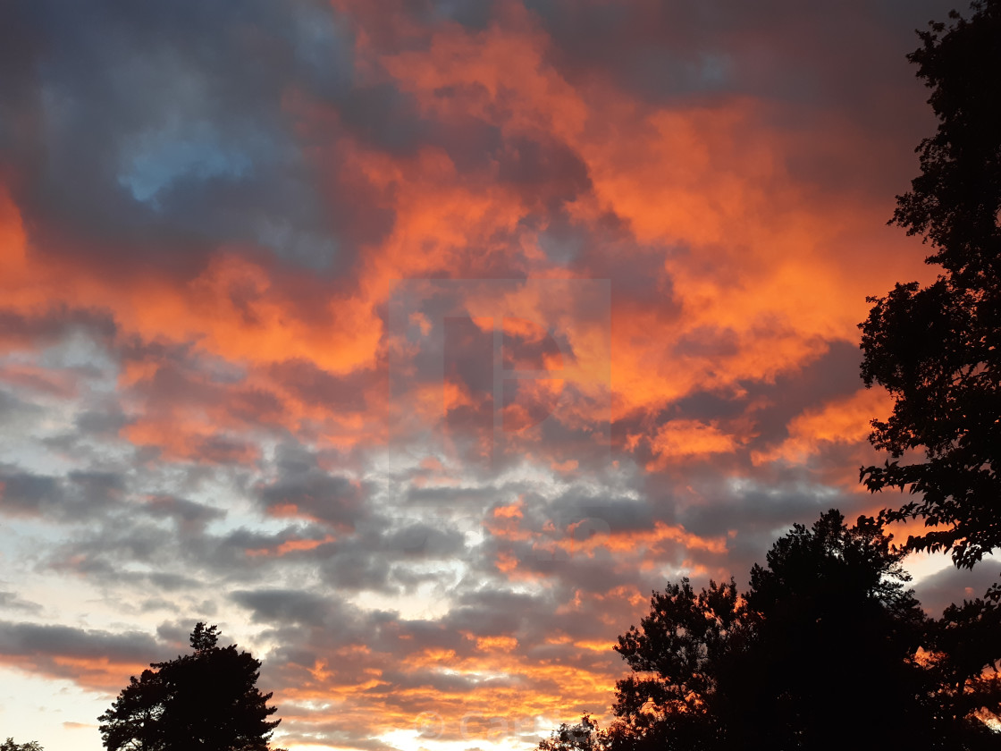 Country Sunset License Download Or Print For 10 00 Photos