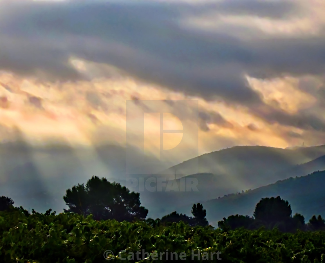 "Catalan Wine Country" stock image