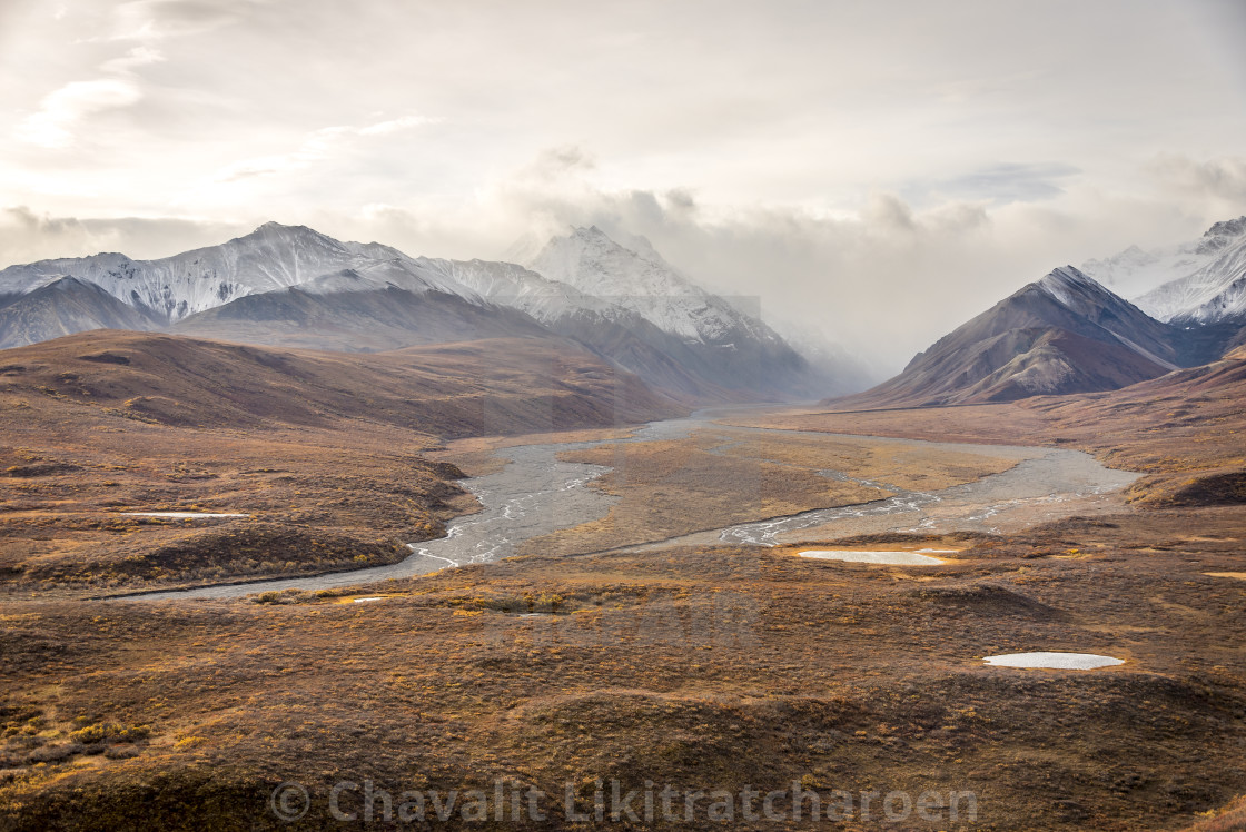 "Mountains landscape with snow at Denali National Park, Alaska, USA" by Chavalit Likitratcharoen - $30.41 "Mountains landscape with snow at Denali National Park, Alaska, USA" stock image