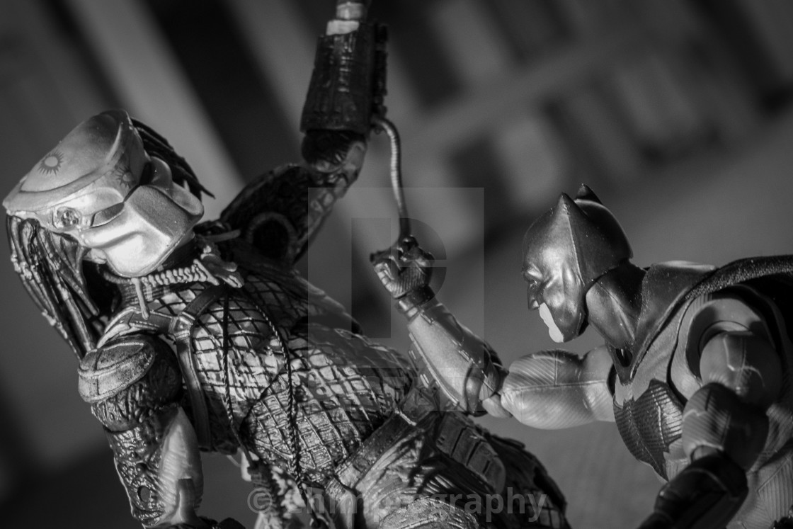 Batman Vs Predator License Download Or Print For 6 20 Photos Picfair This file batman vs predator.rar is hosted at free file sharing service 4shared. picfair