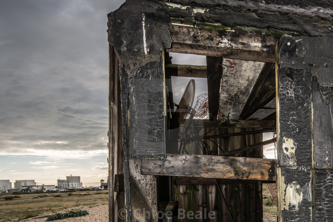 "Dungeness" stock image