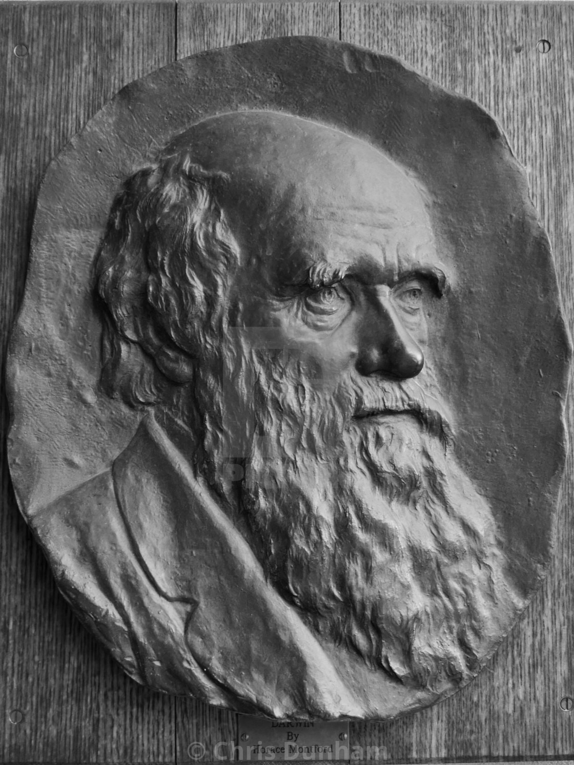 Charles Darwin License Download Or Print For 12 40 Photos Picfair