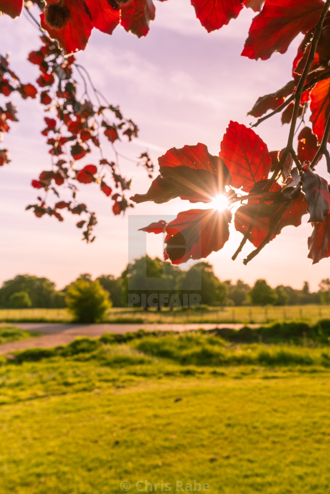 "Syon Park in Isleworth, West London" stock image