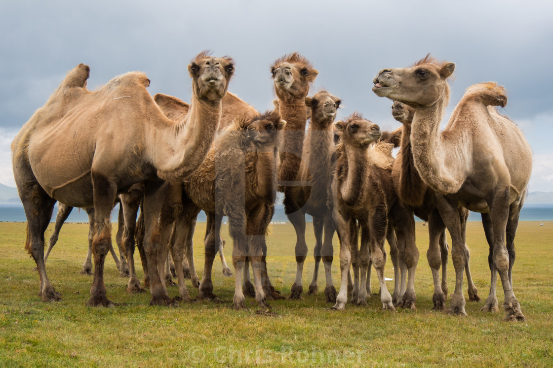 "Caravan break" stock image