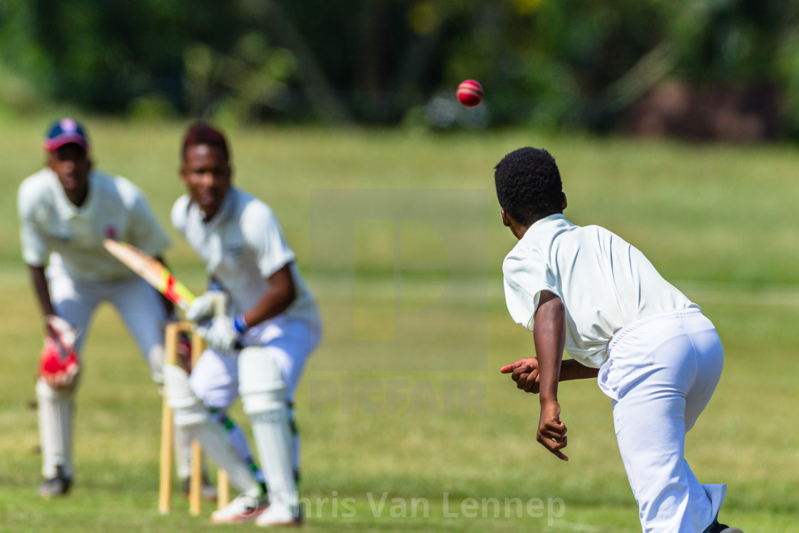 Cricket Action Players Abstract License Download Or Print