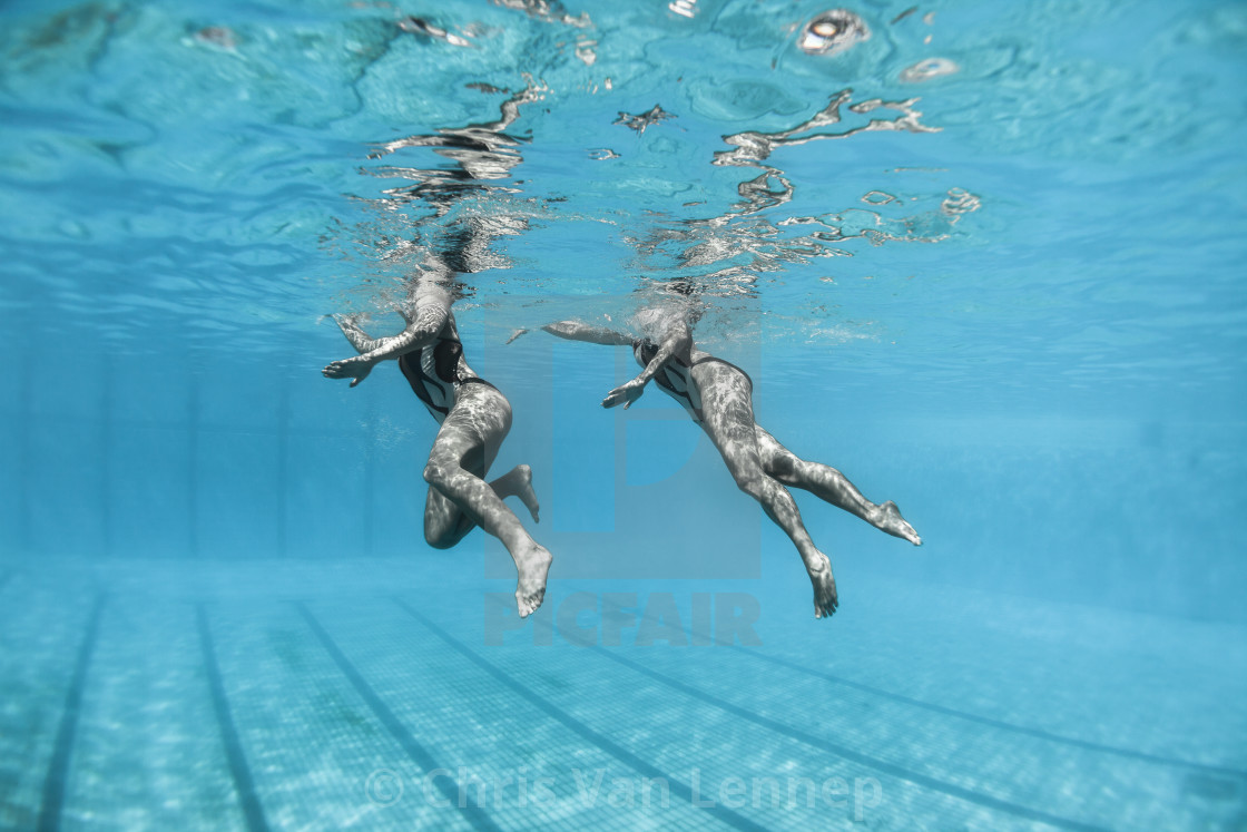 "Aquatic Synchronised Swimmers Underwater" stock image