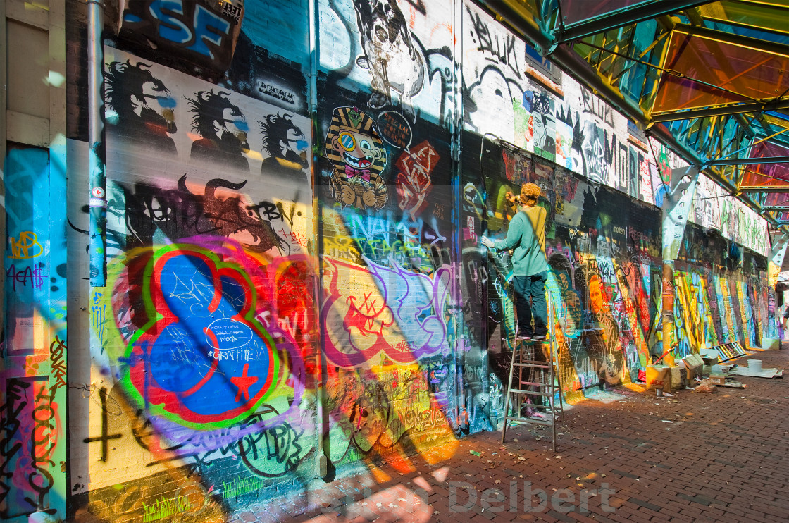 Graffiti Artist At Work License Download Or Print For 12 40 Photos Picfair