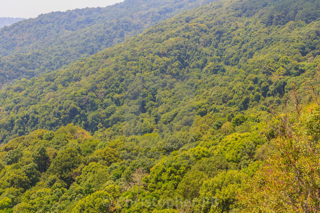 Green Mountain View At Doi Suthep Pui National Park Chiang Mai Thailand License Download Or Print For 1 24 Photos Picfair