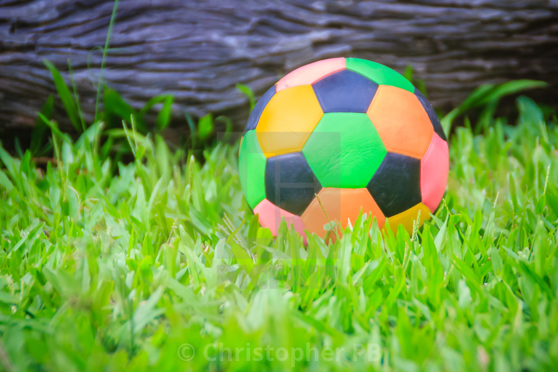 Colorful Football On Playground With Green Grass In The Backyard
