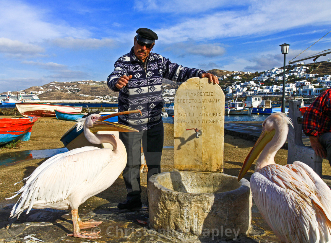 "Locals" stock image