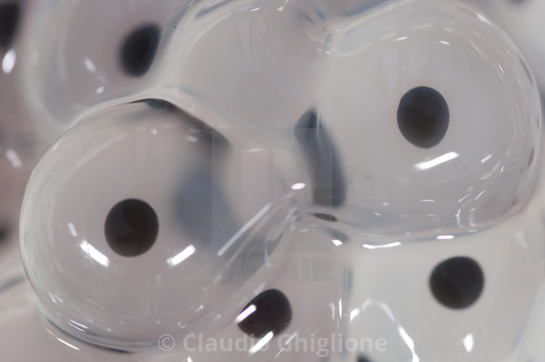 "Eggs detail of a Common frog, Rana temporaria" stock image