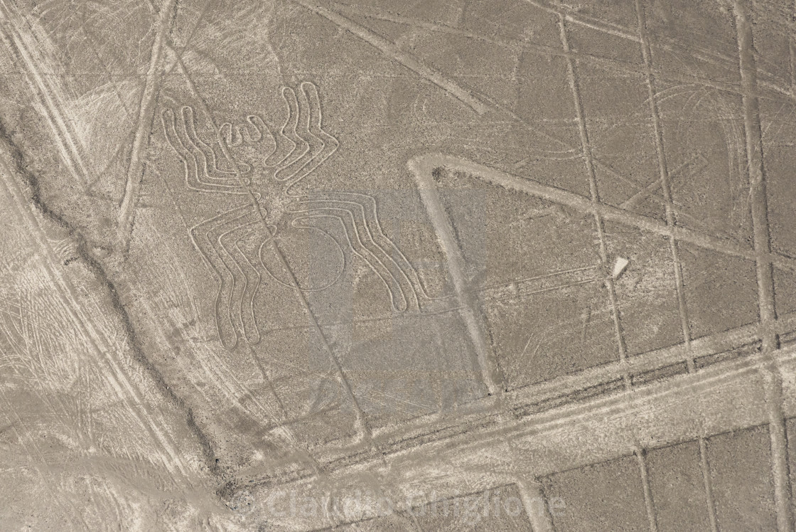 "The Spider, Lines and Geoglyphs of Nasca and Palpa. Nasca desert" stock image