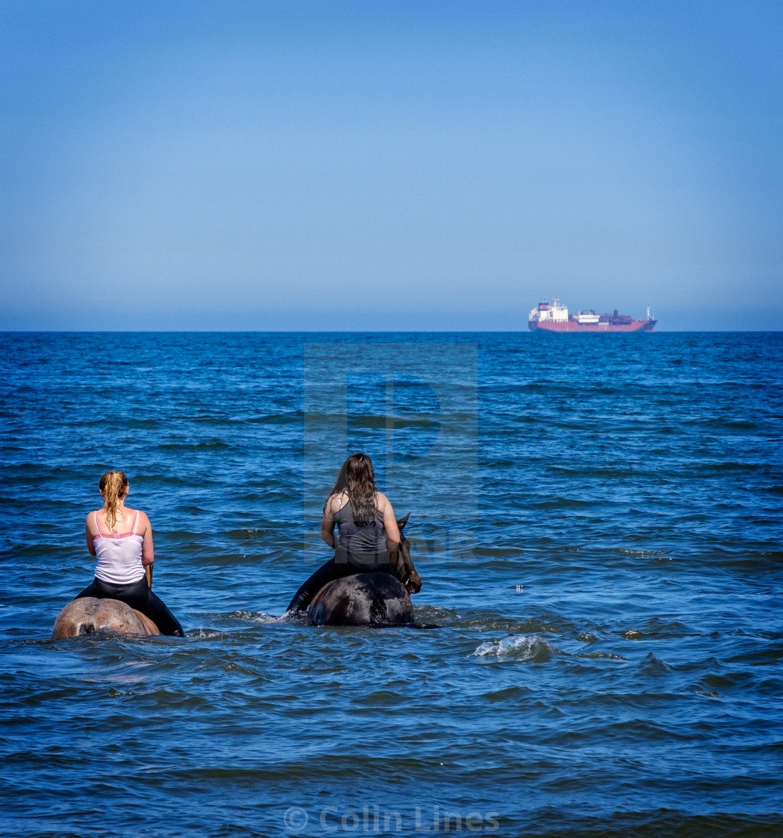 Missed The Boat License Download Or Print For 55 80 Photos Picfair