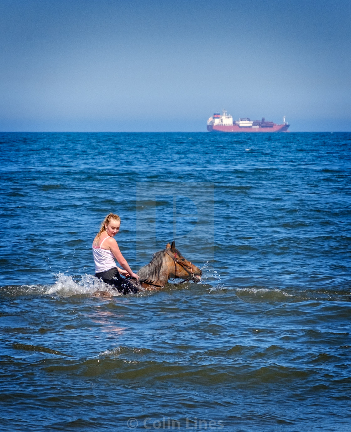 "Wave Rider." stock image