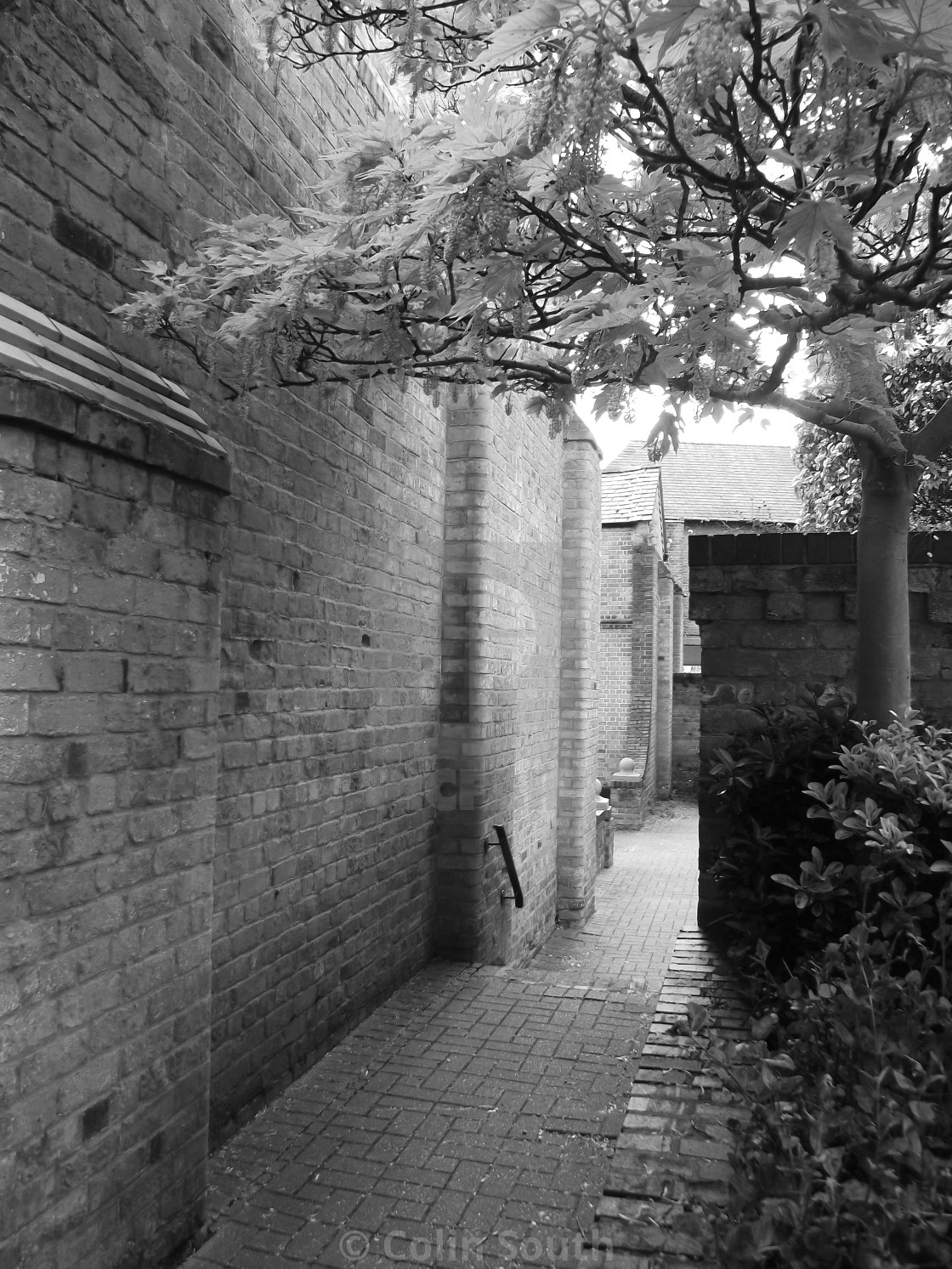 "Passageway off Albion Street, Chester." stock image