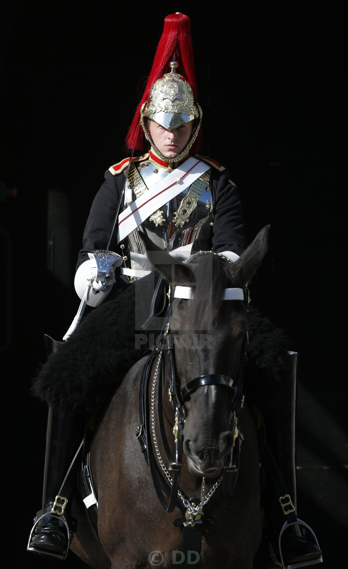 "Household Cavalry Guardsman" by DD - $15.46 "Household Cavalry Guardsman" stock image