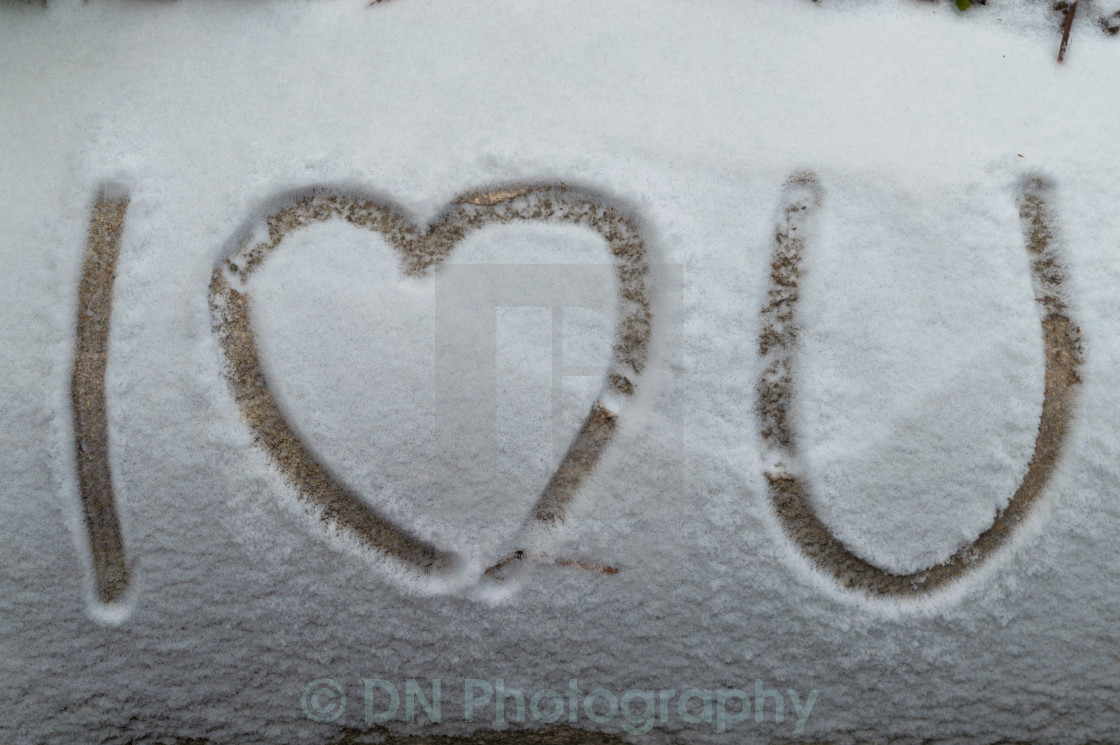 I Love You License Download Or Print For 1 86 Photos Picfair