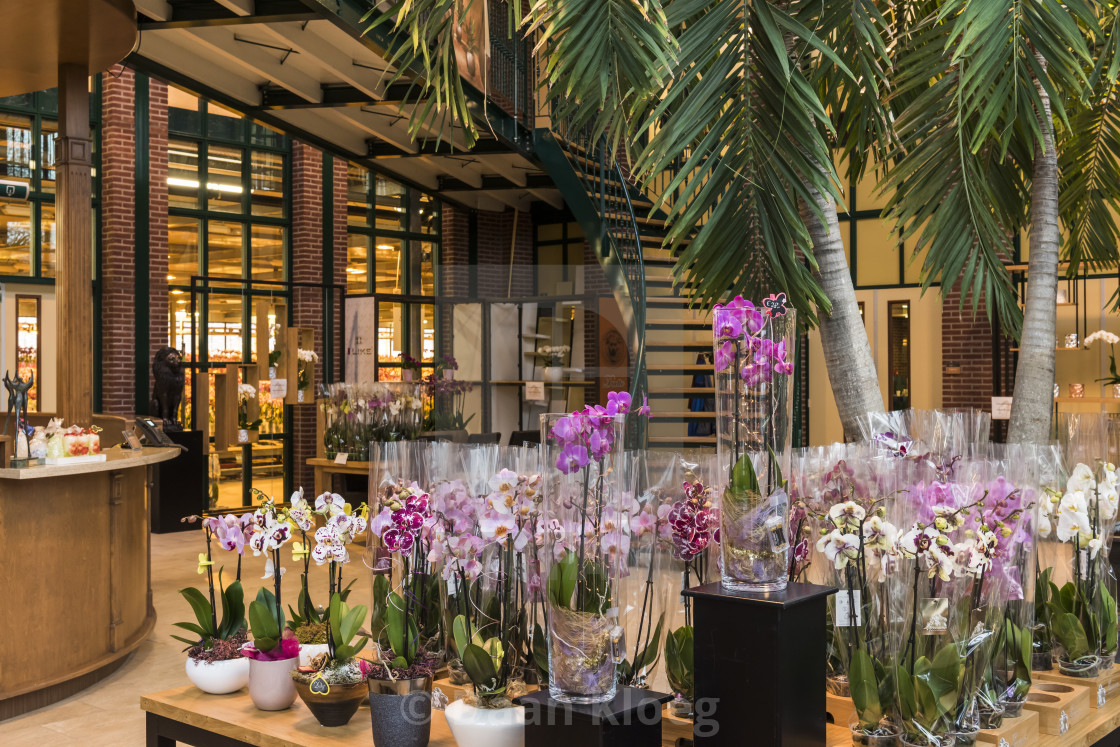 Orchid Shop Greenhouse Westland License Download Or Print For 8 68 Photos Picfair