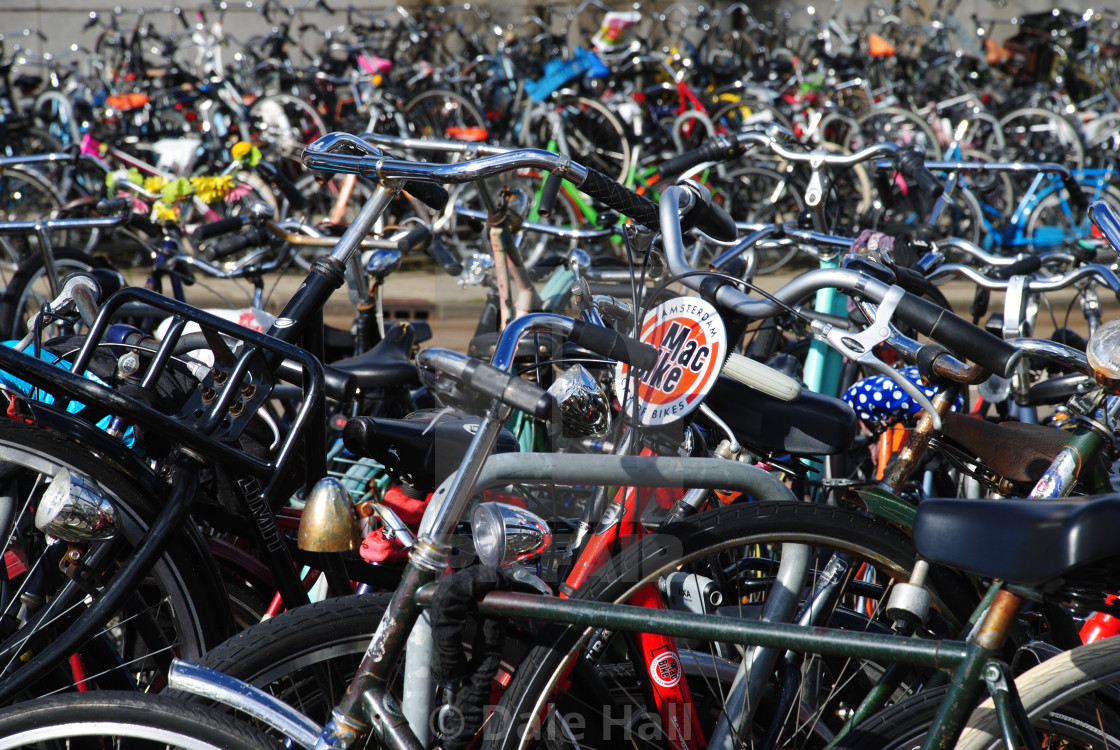 bicycle park near me