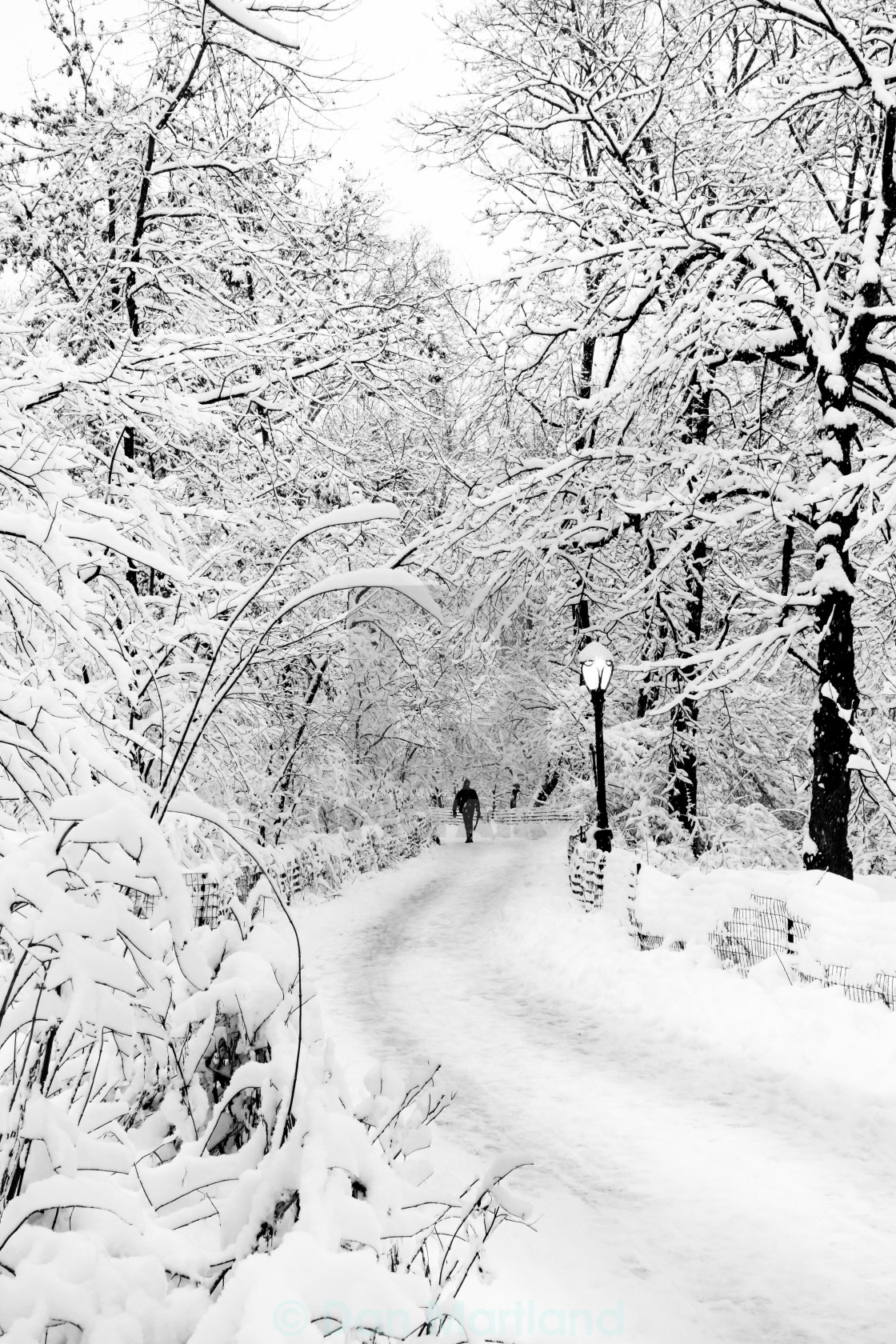 "Crazy Whiteout Conditions NYC" stock image