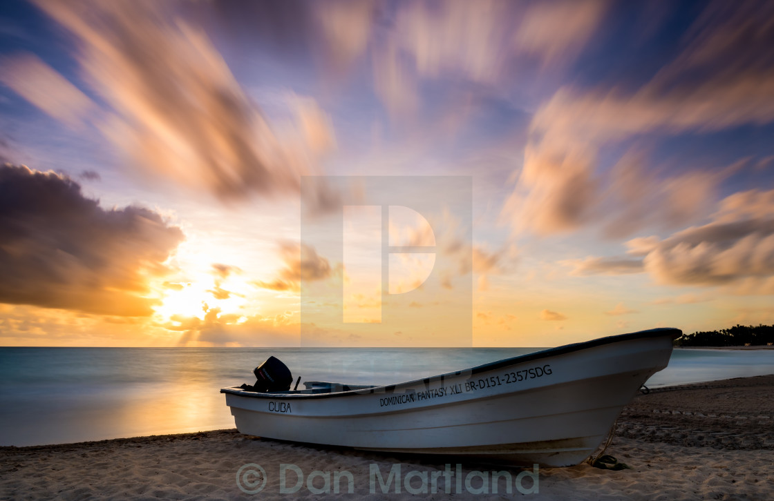 "Morning Glory" stock image