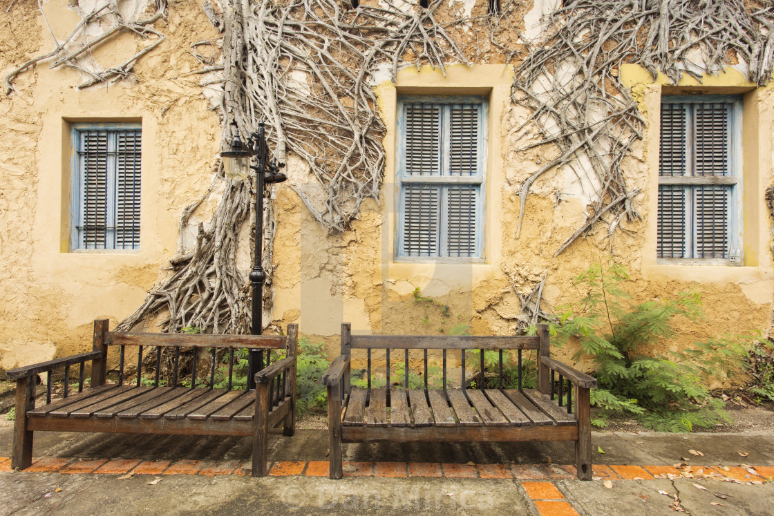 Two bench and background with old house and tree on it - License, download  or print for £ | Photos | Picfair