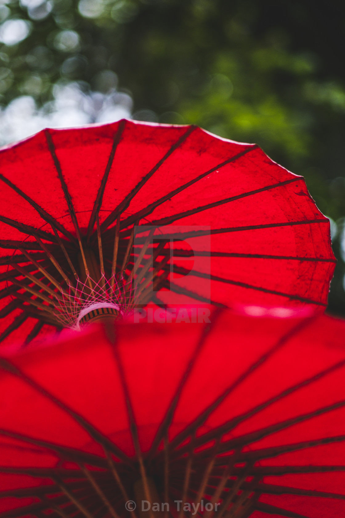 "Sun Umbrellas" stock image