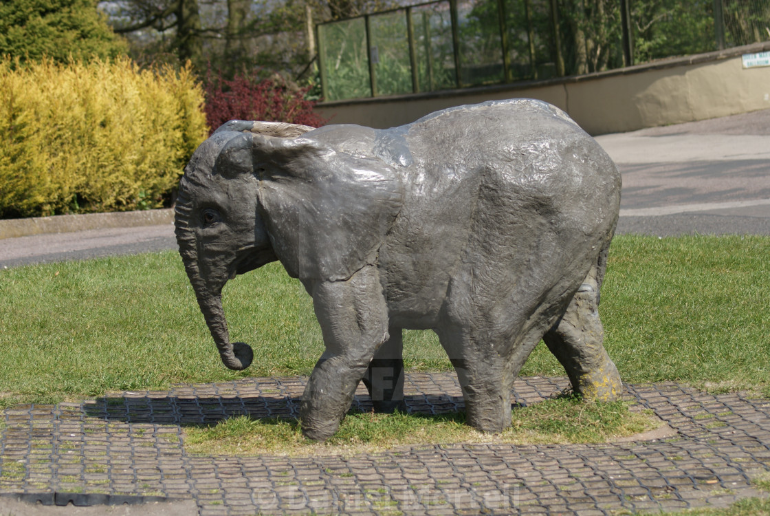 Baby Elephant Statue License Download Or Print For 2 48 Photos Picfair Great savings & free delivery / collection on many items. picfair