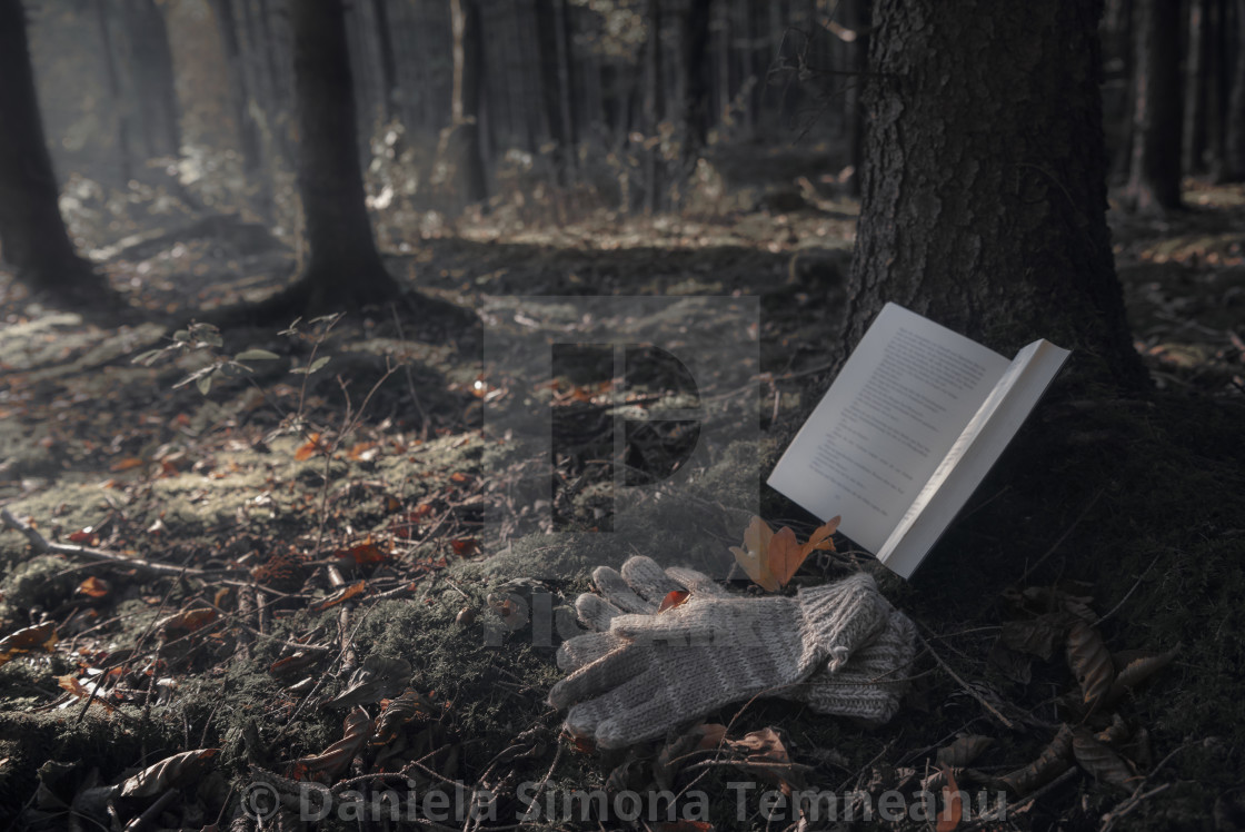 Open Book And Gloves On Autumn Forest Floor License Download Or Print For 12 40 Photos Picfair