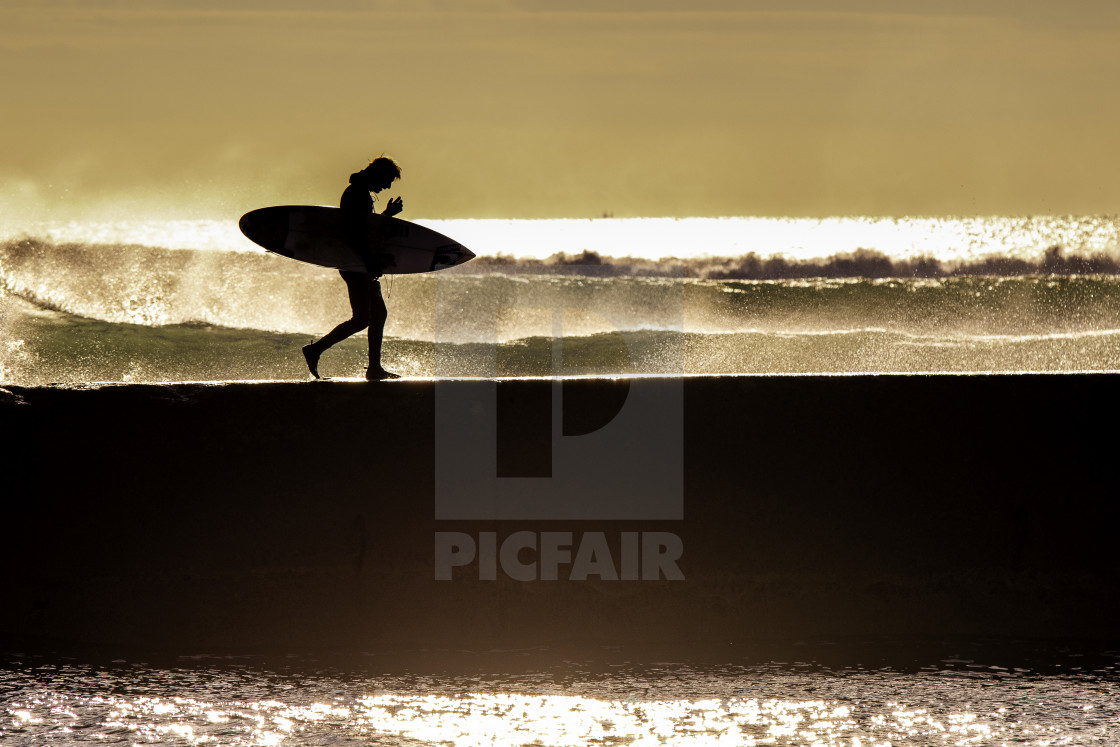 "Sunset surfer" stock image