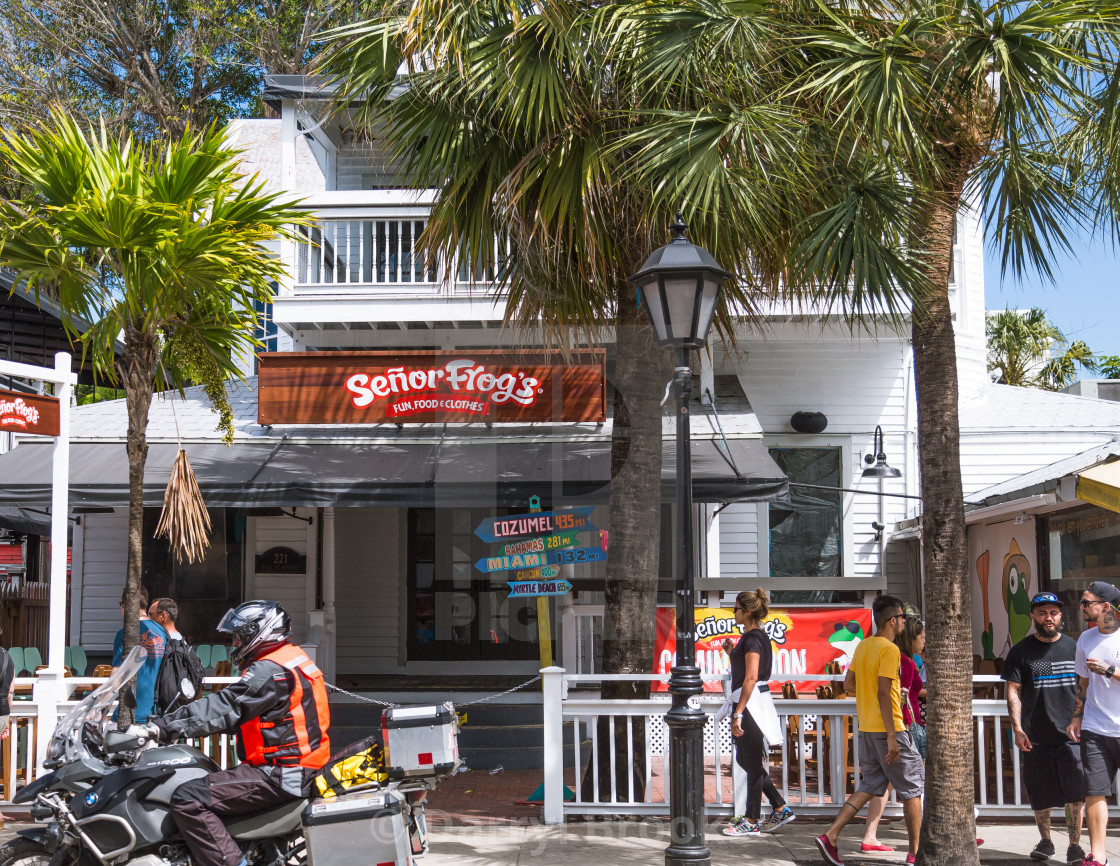 "Senor Frogs in Key West" by Darryl Brooks - $10.71 "Senor Frogs in Key West" stock image