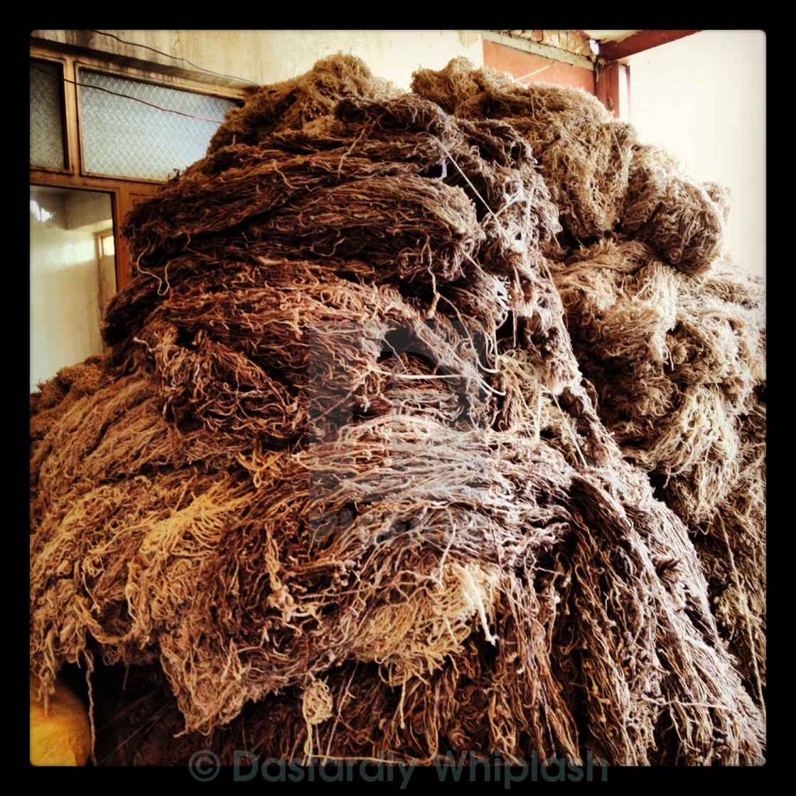 "Wool ready to be spun" stock image