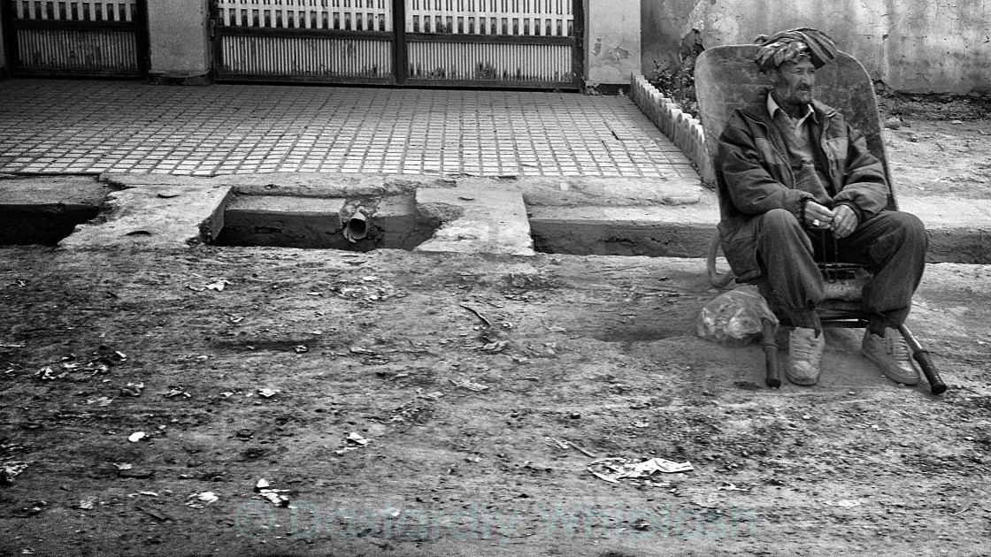 "Wheel barrows make great chairs" stock image