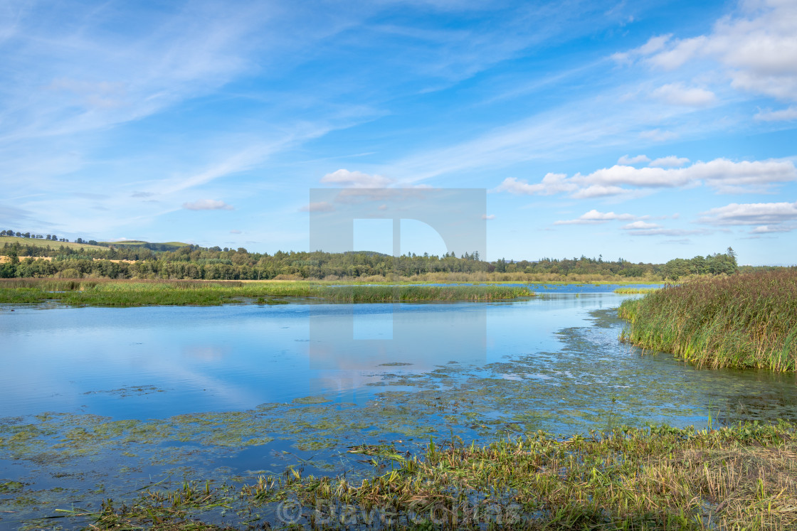 "RSPB, Loch Kinnordy, Angus, Scotland" stock image