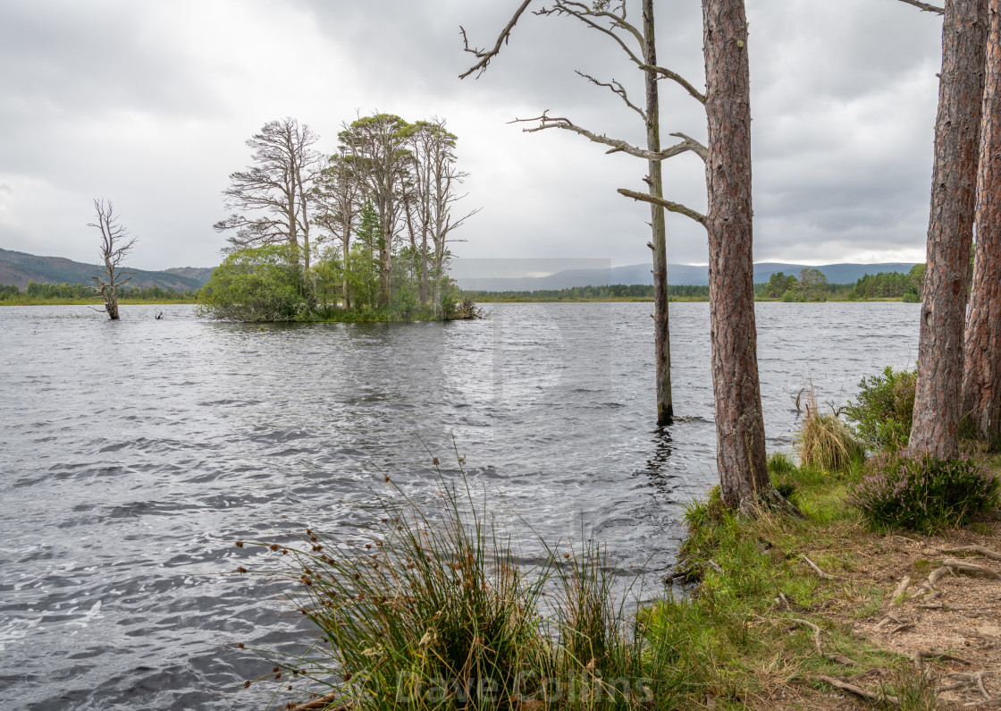 "Island in Loch Mallachie, Highland, Scotland" stock image