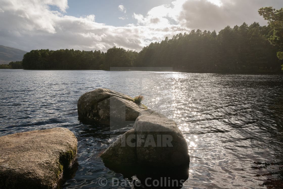 "Loch Garten, Highlands Scotland" stock image