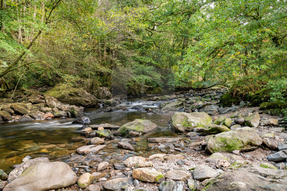 "Kinglas Water, Ardkinglas Woodland Garden, Cairndow, Argyll & Bute, Scotland" stock image