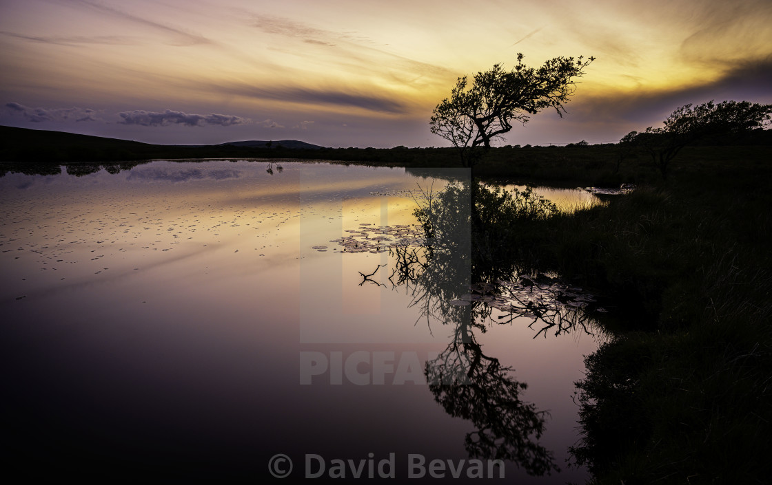 "Broad Pool Sunset" stock image