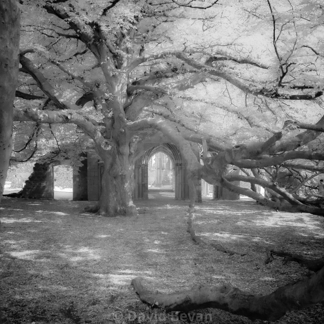 "Arches" stock image