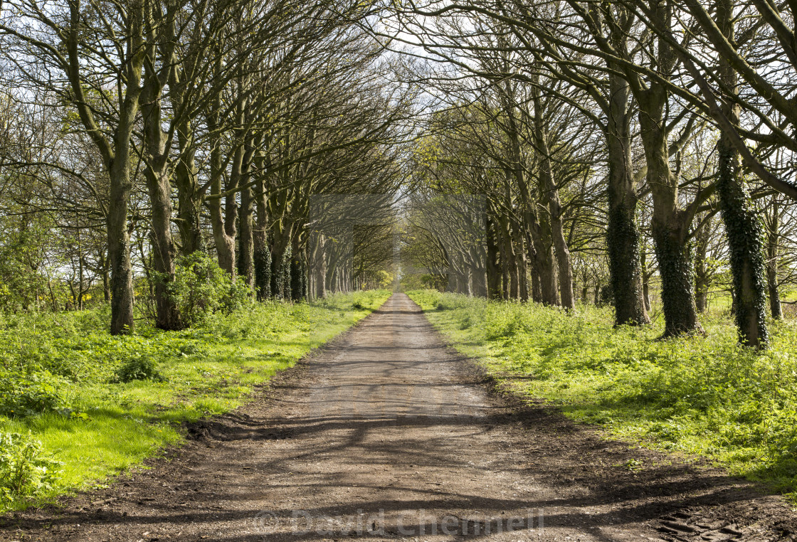 "Brimstage Causeway" by David Chennell - £12.40 "Brimstage Causeway" stock image