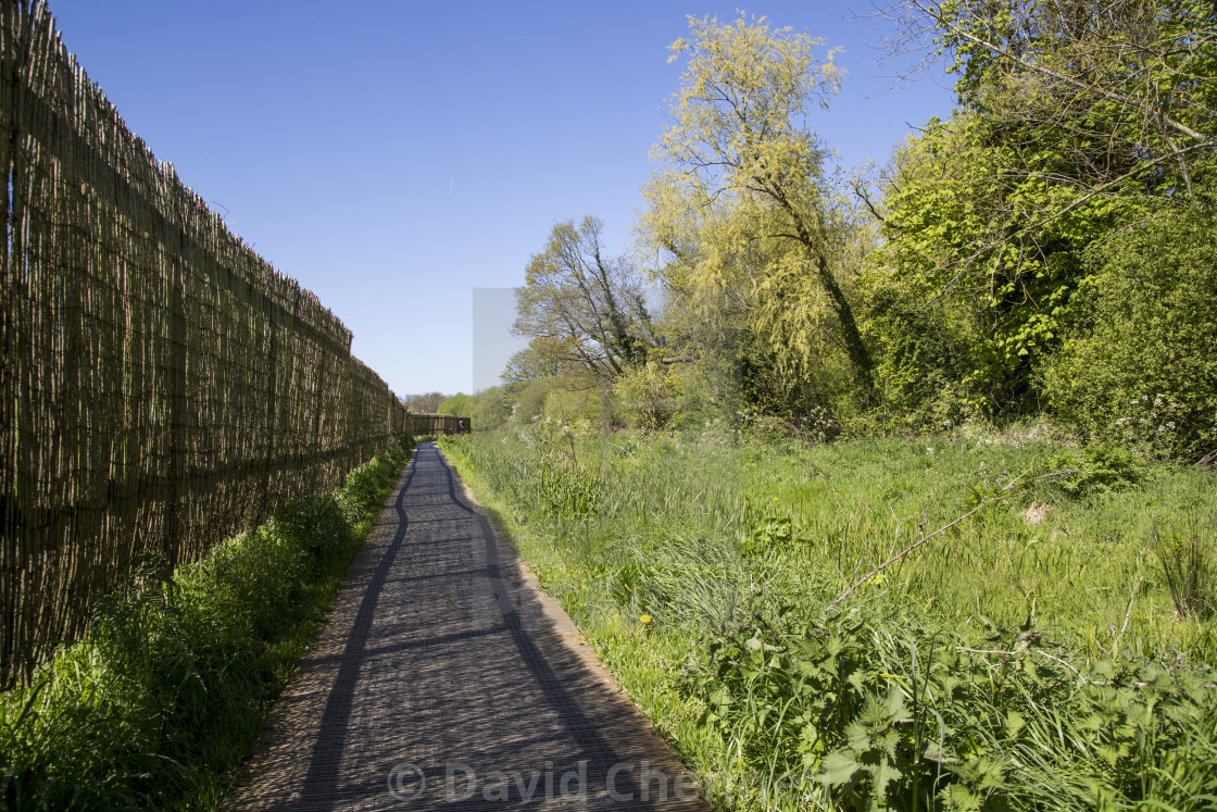 "Train Track Trackway" by David Chennell - £12.40 "Train Track Trackway" stock image