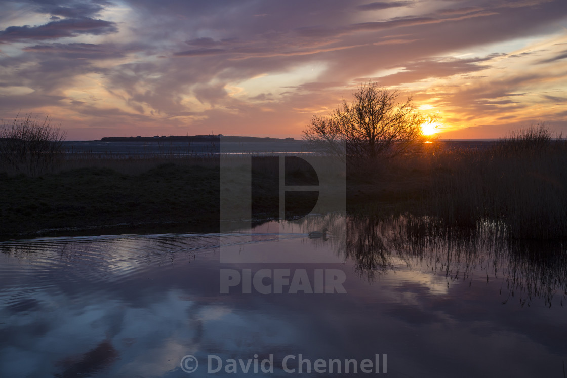 "Still Waters" by David Chennell - £12.40 "Still Waters" stock image