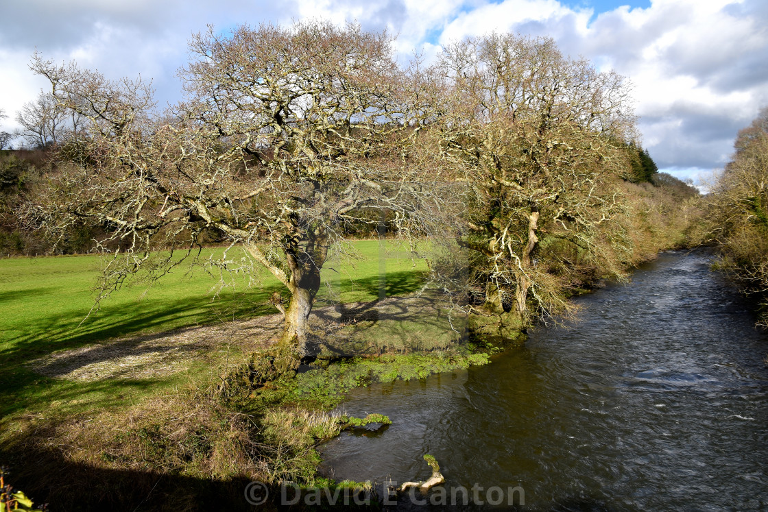 "The river near Blackpool Mill in Pembrokeshire." stock image