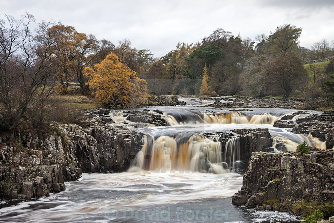 "Low Force Waterfall on the River Tees in Autumn, Bowlees, Upper Teesdale, County Durham England. UK" stock image